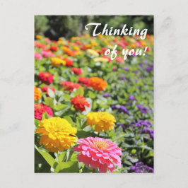 Färgfull Garden Dahlias "Thinking of you" Postcard Vykort