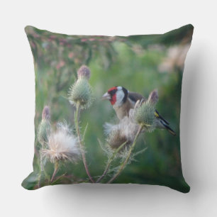 Färgfull Goldfinch på Thistle Dekorativ kudde