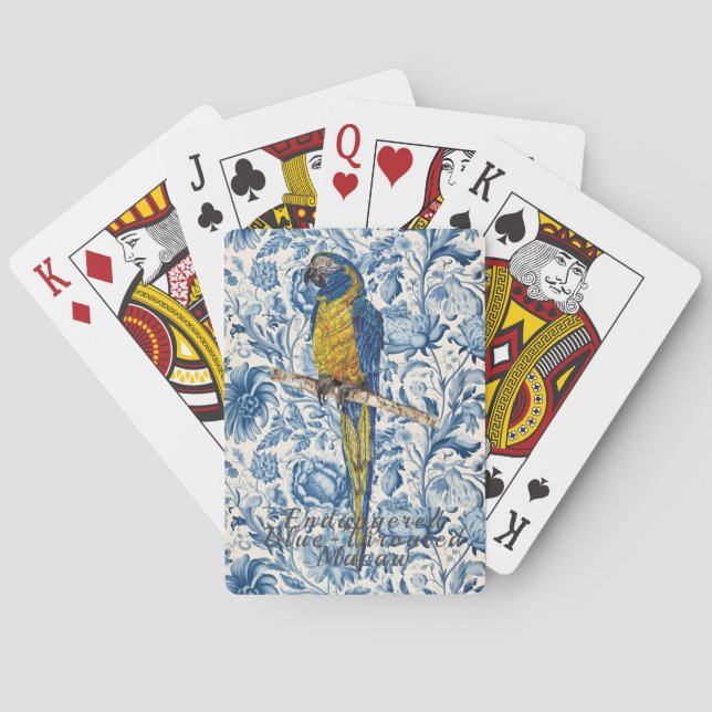 Färgfull handmålad utrotad Macaw Casinokort (Baksidan)