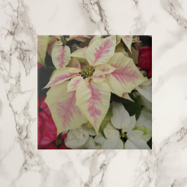 Färgfull Helgdag Poinsettias-Blommigt Kakelplatta
