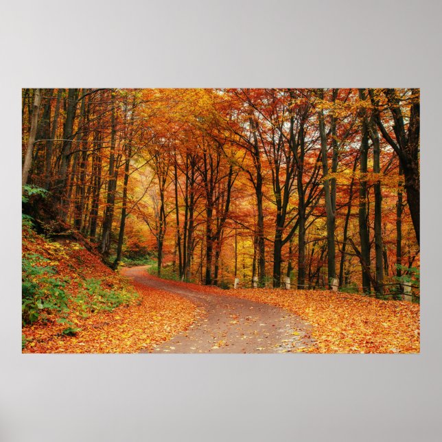 Färgfull höst Väg Poster (Framsidan)