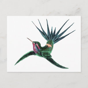 Färgfull Hummingbird Vykort