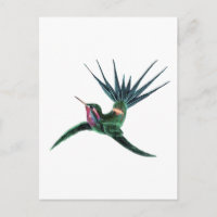 Färgfull Hummingbird