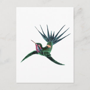 Färgfull Hummingbird Vykort
