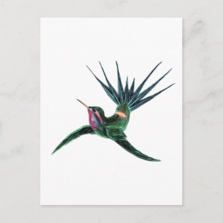 Färgfull Hummingbird Vykort