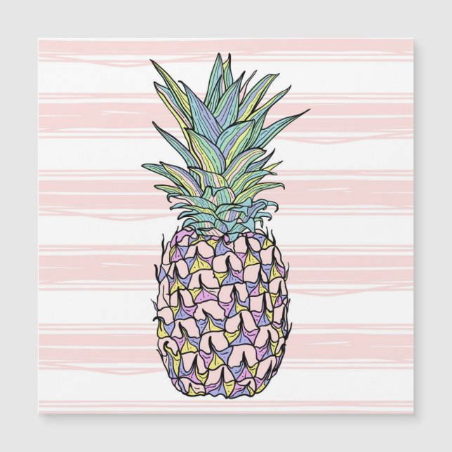Färgfull illustration av ananas vintage. (Framsida)