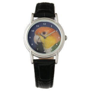 Färgfull kaique Parrot Armbandsur