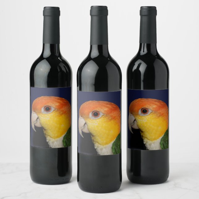 Färgfull kaique Parrot Vinflaska Etikett (Flaskor)