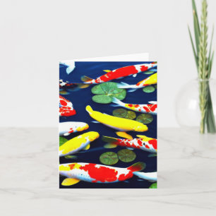 Färgfull Koi Fish Swimming i Pond Kort