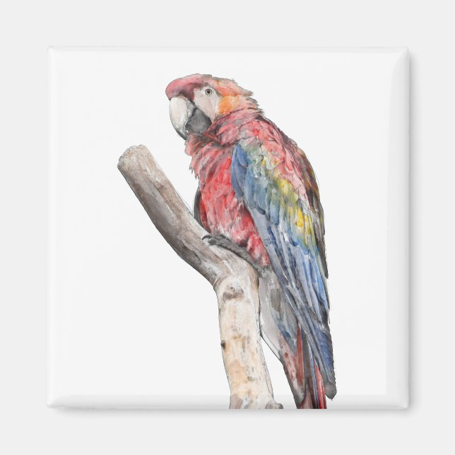 Färgfull Macaw Parrot Watercolor Magnet (Framsidan)