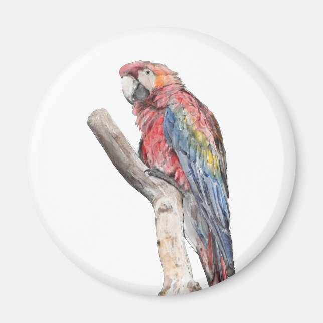Färgfull Macaw Parrot Watercolor Magnet (Framsidan)