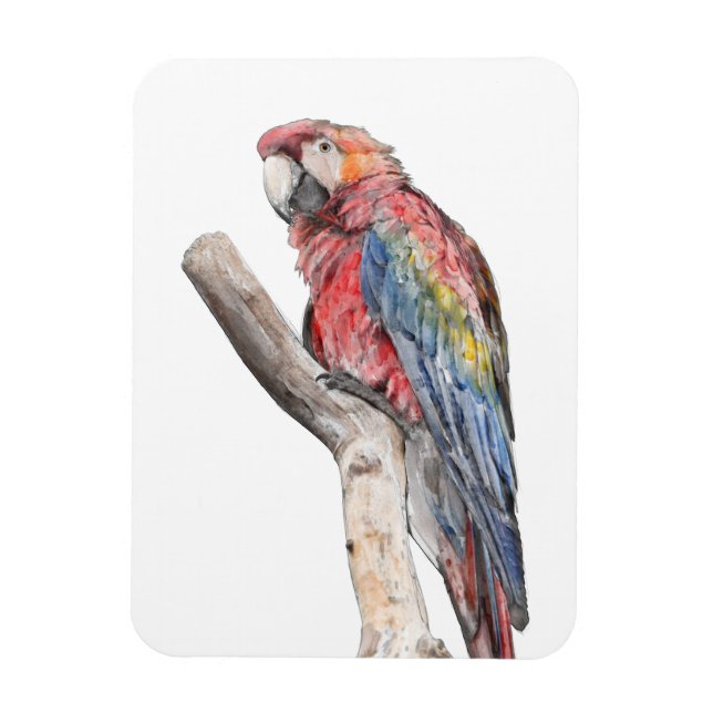 Färgfull Macaw Parrot Watercolor Magnet (Vertikal)