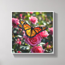 Färgfull monarch Butterfly som visar Vingar