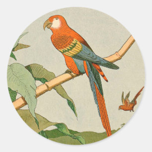 Färgfull Orange Parrot på Bamboo Runt Klistermärke