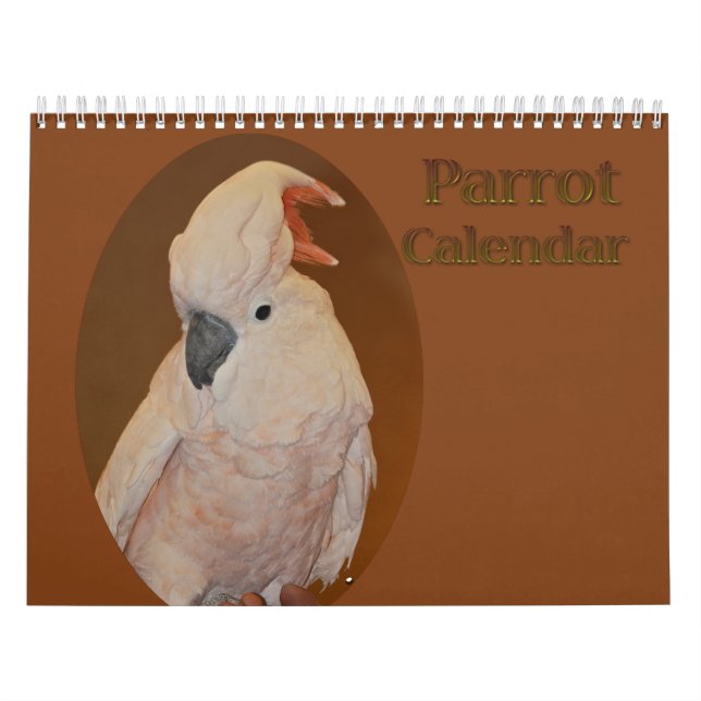 Färgfull papegojkalender kalender (Omslag)