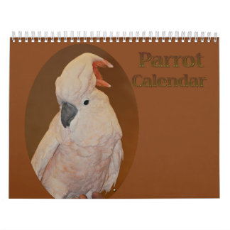 Färgfull papegojkalender kalender
