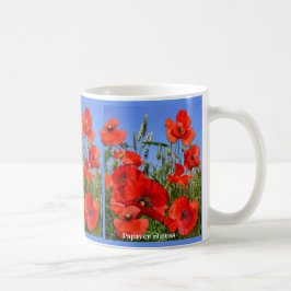 Färgfull Poppy Fält Kaffemugg