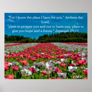Färgfull poppy Fält Photo Bible Verse Poster