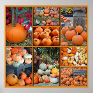 Färgfull pumpkollage poster