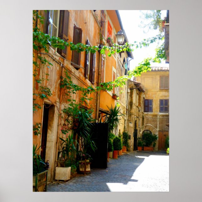 Färgfull Rom Byggnad Poster (Framsidan)