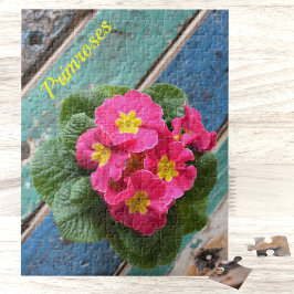 Färgfull, Rosa, primroser Fotografisk Blommigt Pussel