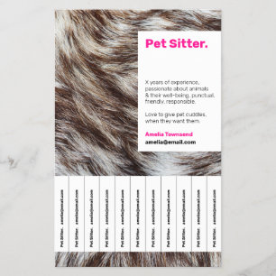 Färgfull Shock rosa Pet Sitta Attention Search Ad Flygblad