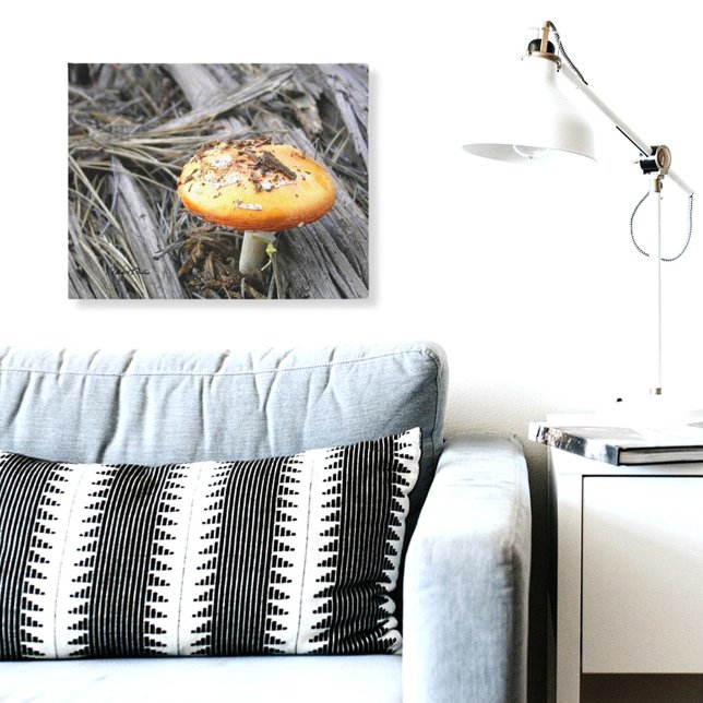 Färgfull svamprumsbitning genom smutsning canvastryck (mushroom photograph canvas print)