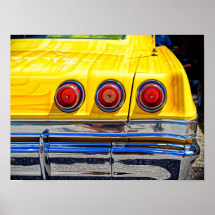 Färgfull svan ljus poster