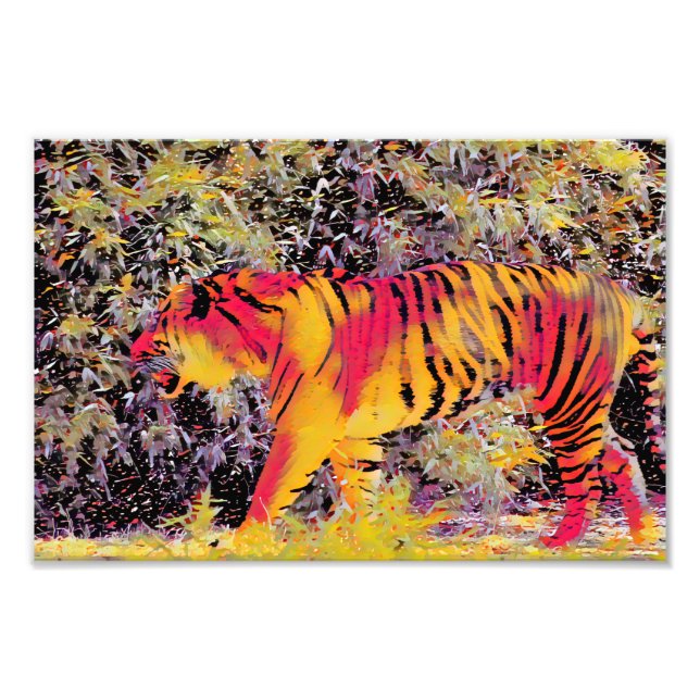 Färgfull tiger fototryck (Framsidan)