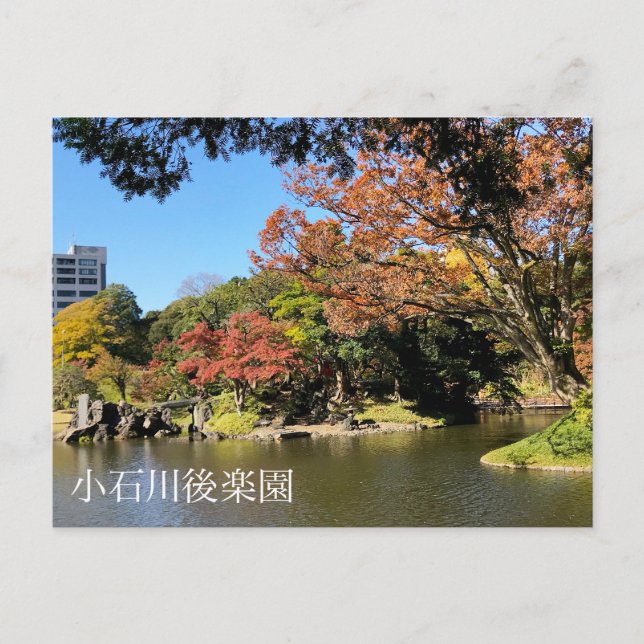 Färgfull Träd Scenery på japanska Garden Vykort (Framsida)
