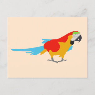 Färgfull Tropical Macaw Helg Vykort
