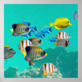 Färgfull tropisk fisk som fångar upp en korallrev poster