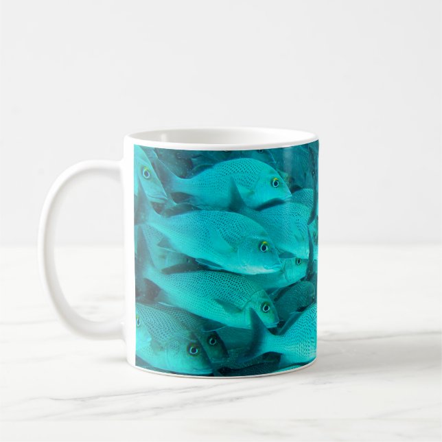 Färgfull tropiska fiskar och korallrev i havet kaffemugg (Vänster)