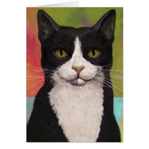 Färgfull Tuxedo-katt Hälsningskort