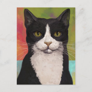 Färgfull Tuxedo-katt Vykort