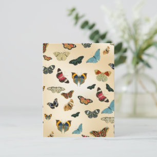Färgfull vintage Butterfly-illustration Mönster Vykort
