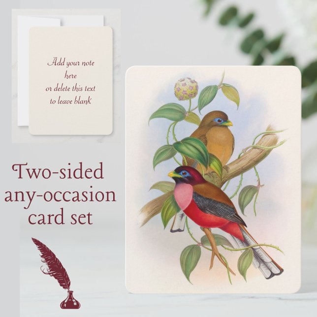Färgfull Vintage Fågelillustration vid Tillfälle Anteckningskort (A beautiful vintage birds card set for any occasion!)