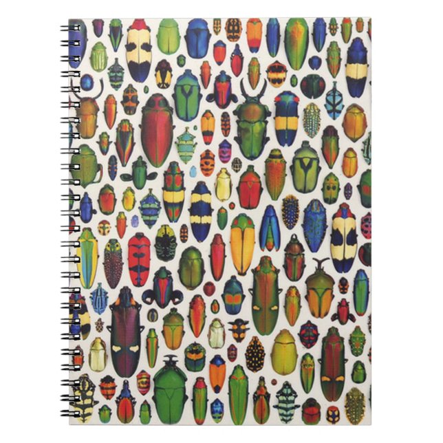 Färgfull Vintage Illustrated Beetles Anteckningsbok (Framsidan)