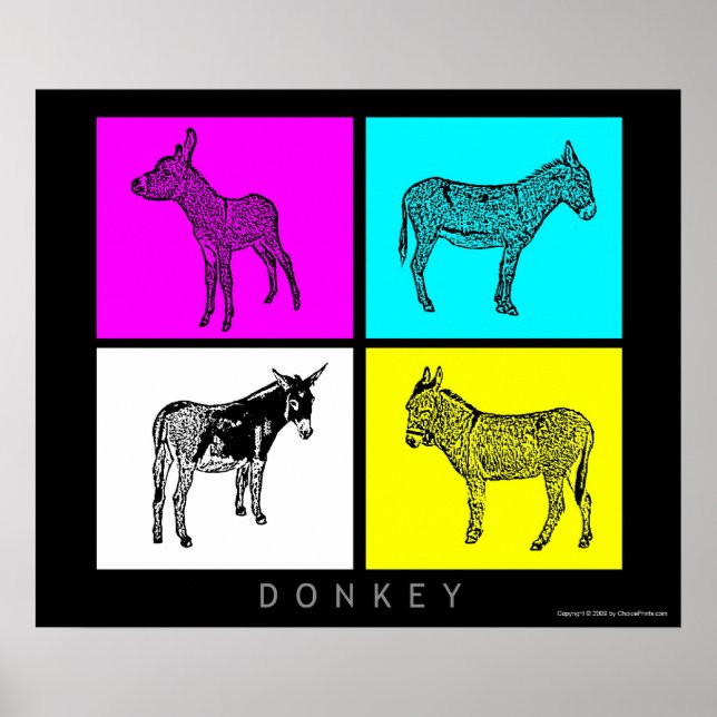 Färgfulla Donkey Poster (Framsidan)