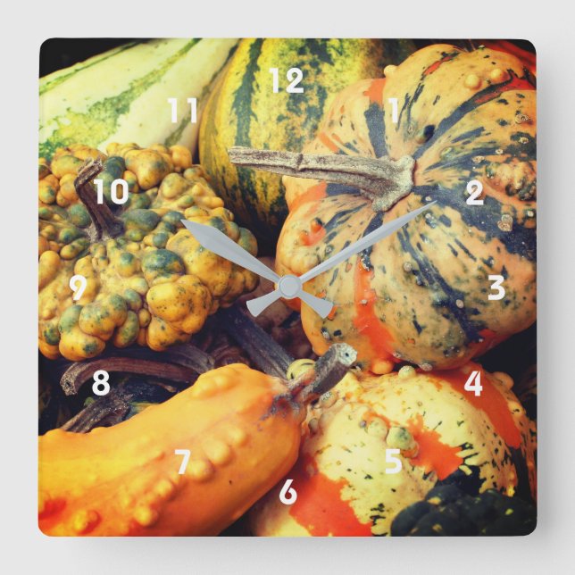 Färgfulla Finare Gourds Close Up  Fyrkantig Klocka (Framsida)