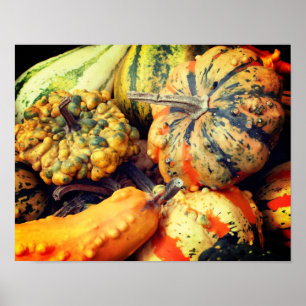 Färgfulla Finare Gourds Close Up Poster