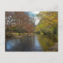 Färgfulla Löv avböjer reflektioner på höstströmmen Vykort