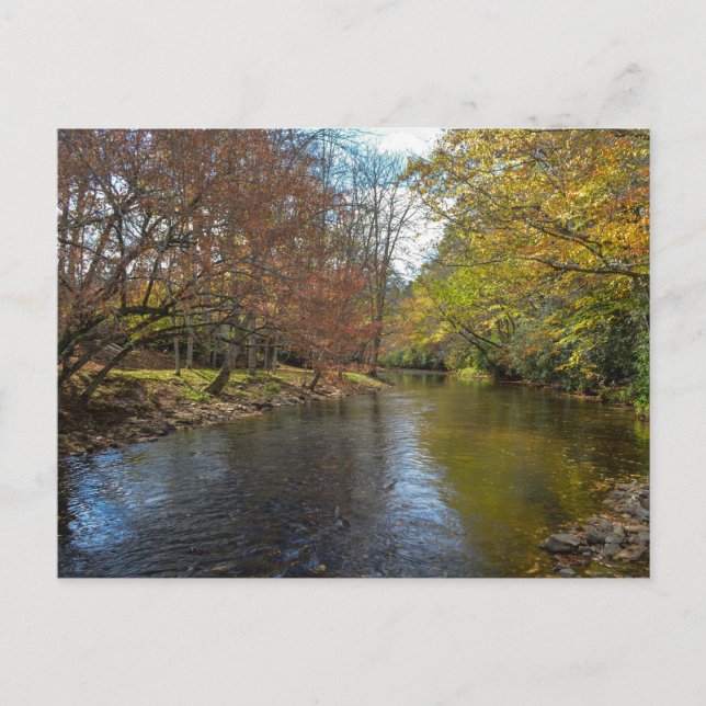 Färgfulla Löv avböjer reflektioner på höstströmmen Vykort (Framsida)