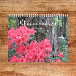 Färgfulla Rhododendrons-Blommigt Fotografiskt Kalender