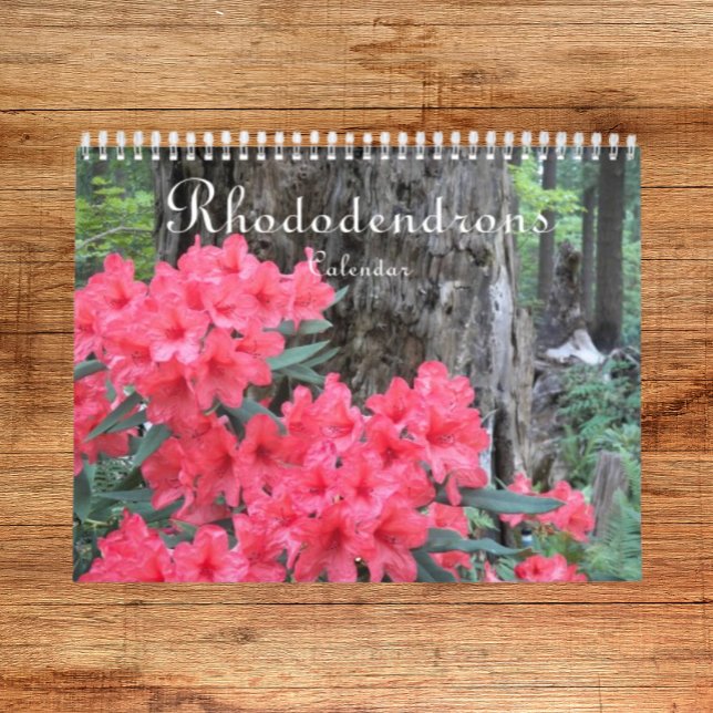 Färgfulla Rhododendrons-Blommigt Fotografiskt Kalender (In Situ)