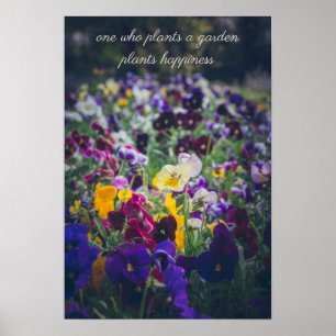 Färgfulla rutor i blomning i land-trädgården poster