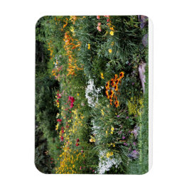 Färgfulla sommarträdgårdar! magnet