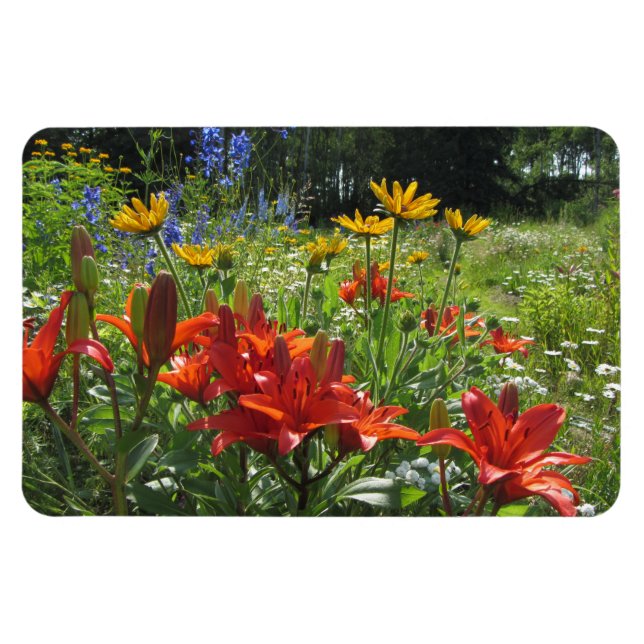 Färgfulla sommarträdgårdar! magnet (Horisontell)