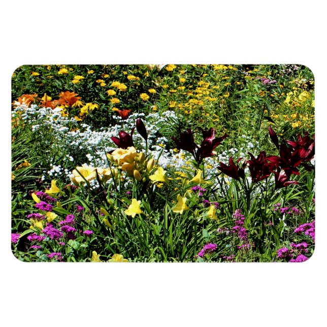 Färgfulla sommarträdgårdar! magnet (Horisontell)
