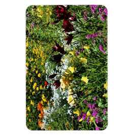 Färgfulla sommarträdgårdar! magnet
